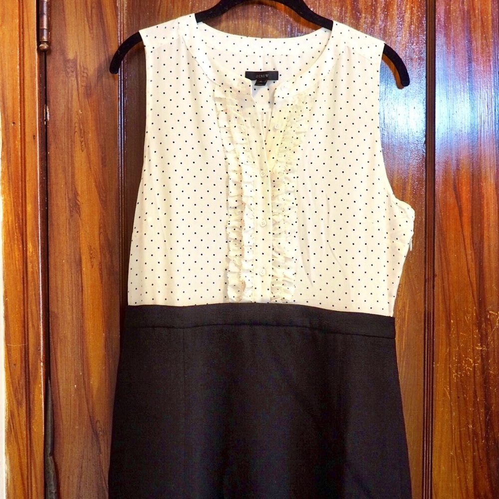 Jcrew polka dot dress